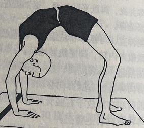 轮式 Chakrasana (wheel pose)