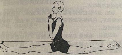 哈努曼式 Hanumanasanas(Hanuman's pose)  体位法 髋部 腿部 骨盆 哈努曼式 Hanumanasanas Hanuman's pose 神猴式 第 1 张