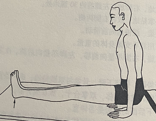 独身式 Brahmacharyasana(celibate's pose)  肌肉 腹部 双手 双腿 体位法 独身式 Brahmacharyasana celibate's pose 第 1 张