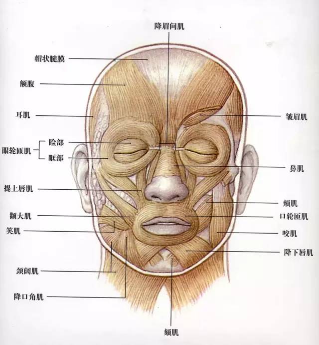 “脸不要绷得那么紧，放松，微笑” 瑜伽练的怎么样,先看脸!