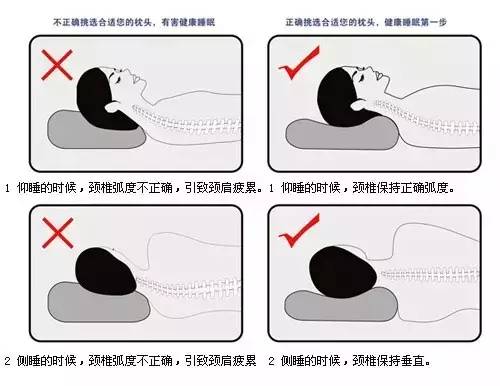 肩颈不好,女人衰老,12 式瑜伽保养你的青春! 颈椎 神经 肌肉 肩颈 坐姿 人体 第 4 张 肩颈不好,女人衰老,12 式瑜伽保养你的青春! 颈椎 神经 肌肉 肩颈 坐姿 人体 第 4 张