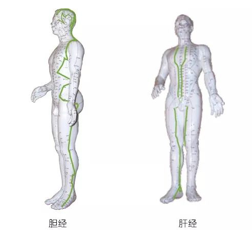 冬季常做这 12 个瑜伽体式,养生排毒、疏通经络! 身体 双脚 毒素 脊柱 右脚 双腿 放松 第 1 张 冬季常做这 12 个瑜伽体式,养生排毒、疏通经络! 身体 双脚 毒素 脊柱 右脚 双腿 放松 第 1 张