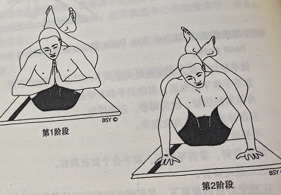 双腿绕头式Dwi Pada Sirasana(two feet to head pose)