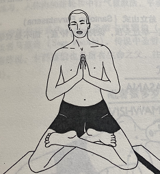 莲花山式Padma Parvatasana (lotus mountain pose)