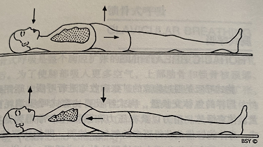 腹式（或横膈膜）呼吸(Abdominal or Diaphragmatic Bradthing)