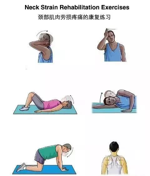 哪里痛,练哪里——疼痛自我训练精粹 瑜伽动作 练习 瑜伽序列 问题 效果 瑜伽康复 稳定 第 2 张 哪里痛,练哪里——疼痛自我训练精粹 瑜伽动作 练习 瑜伽序列 问题 效果 瑜伽康复 稳定 第 2 张