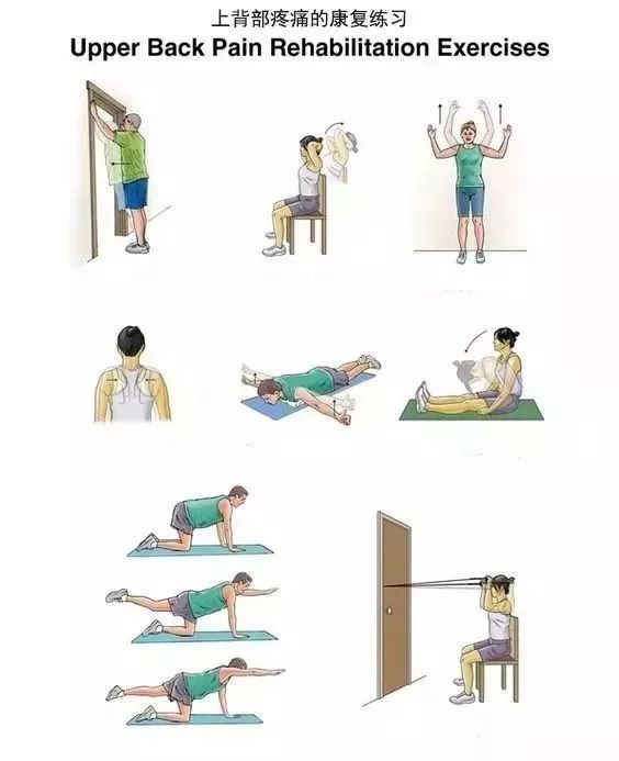 哪里痛,练哪里——疼痛自我训练精粹 瑜伽动作 练习 瑜伽序列 问题 效果 瑜伽康复 稳定 第 5 张 哪里痛,练哪里——疼痛自我训练精粹 瑜伽动作 练习 瑜伽序列 问题 效果 瑜伽康复 稳定 第 5 张