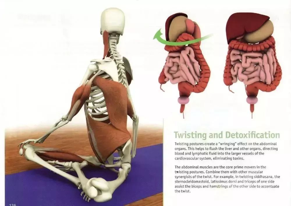 为什么每节瑜伽课都有扭转体式?真相原来是这样!（为什么每节瑜伽课都有扭转体式?真相原来是这样的）