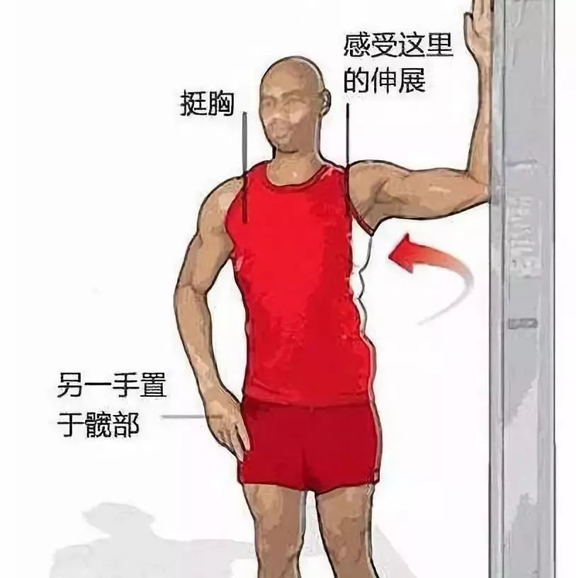 完美的体态,你想拥有吗?一套体态矫正序例! 体形矫正 骨盆 体态 膝盖 背部 肩膀 肌肉 第 7 张 完美的体态,你想拥有吗?一套体态矫正序例! 体形矫正 骨盆 体态 膝盖 背部 肩膀 肌肉 第 7 张