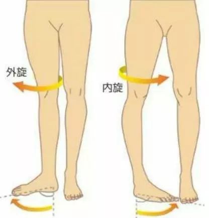 10 分钟缩胯操,消灭假胯宽,让你腿长 15 公分,腰瘦 5 厘米! 大腿 位置 胯宽 髋部 视觉 角度 肌肉 第 6 张 10 分钟缩胯操,消灭假胯宽,让你腿长 15 公分,腰瘦 5 厘米! 大腿 位置 胯宽 髋部 视觉 角度 肌肉 第 6 张
