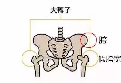 10 分钟缩胯操,消灭假胯宽,让你腿长 15 公分,腰瘦 5 厘米! 大腿 位置 胯宽 髋部 视觉 角度 肌肉 第 3 张 10 分钟缩胯操,消灭假胯宽,让你腿长 15 公分,腰瘦 5 厘米! 大腿 位置 胯宽 髋部 视觉 角度 肌肉 第 3 张