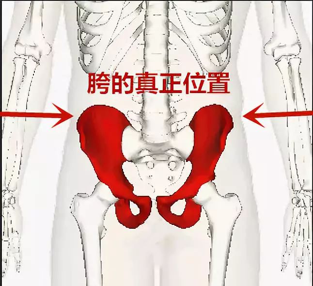 10 分钟缩胯操,消灭假胯宽,让你腿长 15 公分,腰瘦 5 厘米! 大腿 位置 胯宽 髋部 视觉 角度 肌肉 第 1 张 10 分钟缩胯操,消灭假胯宽,让你腿长 15 公分,腰瘦 5 厘米! 大腿 位置 胯宽 髋部 视觉 角度 肌肉 第 1 张