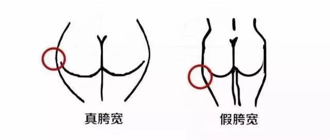 10 分钟缩胯操,消灭假胯宽,让你腿长 15 公分,腰瘦 5 厘米! 大腿 位置 胯宽 髋部 视觉 角度 肌肉 第 2 张 10 分钟缩胯操,消灭假胯宽,让你腿长 15 公分,腰瘦 5 厘米! 大腿 位置 胯宽 髋部 视觉 角度 肌肉 第 2 张