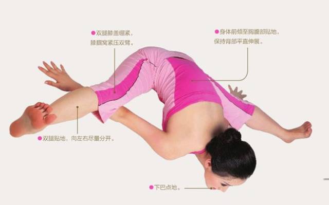 瑜伽 + 按摩保养卵巢,让你的美丽停不下来! 女性 器官 腹部 肾脏 卵巢 脊柱 维生素 第 24 张 瑜伽 + 按摩保养卵巢,让你的美丽停不下来! 女性 器官 腹部 肾脏 卵巢 脊柱 维生素 第 24 张
