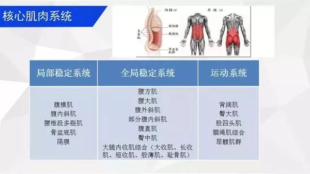 腰部 | 核心肌力最全的训练方法，从简单到困难！