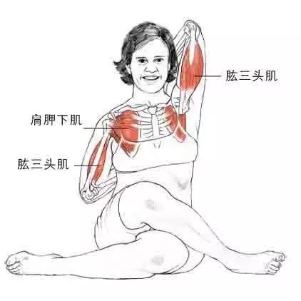 精讲 | 牛面式 (gomukhasana) 提升能量 治愈心情忧郁 臀部 双手 脊柱 体式 弯曲 肩膀 肩部 第 3 张 精讲 | 牛面式 (gomukhasana) 提升能量 治愈心情忧郁 臀部 双手 脊柱 体式 弯曲 肩膀 肩部 第 3 张