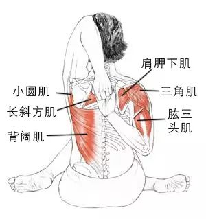 精讲 | 牛面式 (gomukhasana) 提升能量 治愈心情忧郁 臀部 双手 脊柱 体式 弯曲 肩膀 肩部 第 2 张 精讲 | 牛面式 (gomukhasana) 提升能量 治愈心情忧郁 臀部 双手 脊柱 体式 弯曲 肩膀 肩部 第 2 张