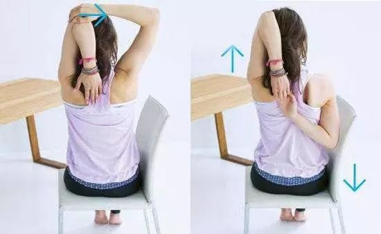 精讲 | 牛面式 (gomukhasana) 提升能量 治愈心情忧郁 臀部 双手 脊柱 体式 弯曲 肩膀 肩部 第 6 张 精讲 | 牛面式 (gomukhasana) 提升能量 治愈心情忧郁 臀部 双手 脊柱 体式 弯曲 肩膀 肩部 第 6 张