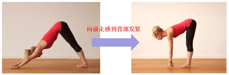 背部僵硬紧张,该如何拉伸放松呢? 背部 脊柱 双手 竖脊肌 臀部 双腿 肌肉 第 2 张 背部僵硬紧张,该如何拉伸放松呢? 背部 脊柱 双手 竖脊肌 臀部 双腿 肌肉 第 2 张