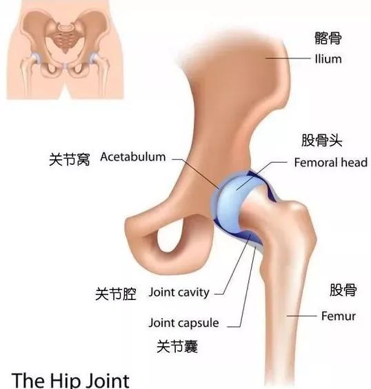 10 组开髋体式 + 8 组瑜伽带辅助开髋体式,助你“全方位”打开髋部! 第 2 张 10 组开髋体式 + 8 组瑜伽带辅助开髋体式,助你“全方位”打开髋部! 第 2 张