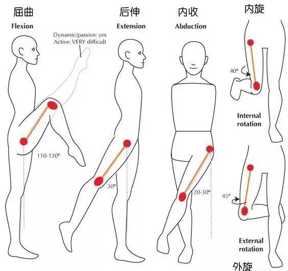 10 组开髋体式 + 8 组瑜伽带辅助开髋体式,助你“全方位”打开髋部! 第 3 张 10 组开髋体式 + 8 组瑜伽带辅助开髋体式,助你“全方位”打开髋部! 第 3 张