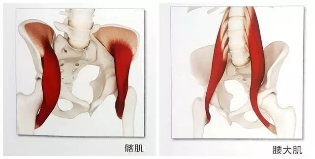 神猴式髋部摆不正，是什么原因？如何解决？