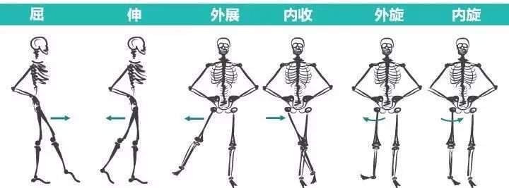 神猴式髋部摆不正,是什么原因?如何解决? 第 2 张 神猴式髋部摆不正,是什么原因?如何解决? 第 2 张