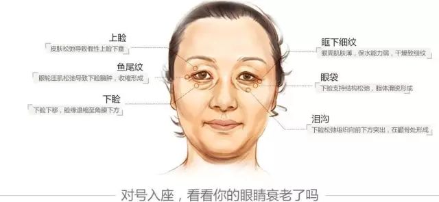 女人的衰老,从眼部开始!附眼部瑜伽动图 眼部瑜伽 黑眼圈 眼睛瑜伽 皮肤 肌肤 护理 血液 第 5 张 女人的衰老,从眼部开始!附眼部瑜伽动图 眼部瑜伽 黑眼圈 眼睛瑜伽 皮肤 肌肤 护理 血液 第 5 张