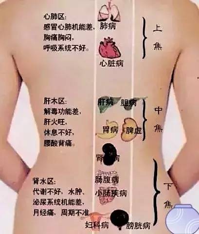 美背瑜伽,养背等于养命!瑜伽序列 背部 美背瑜伽 腹部 瑜伽序列 第 1 张 美背瑜伽,养背等于养命!瑜伽序列 背部 美背瑜伽 腹部 瑜伽序列 第 1 张