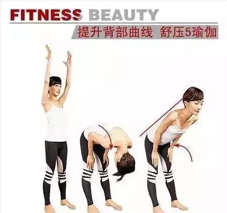 美背瑜伽,养背等于养命!瑜伽序列 背部 美背瑜伽 腹部 瑜伽序列 第 2 张 美背瑜伽,养背等于养命!瑜伽序列 背部 美背瑜伽 腹部 瑜伽序列 第 2 张