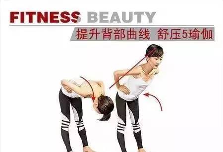 美背瑜伽,养背等于养命!瑜伽序列 背部 美背瑜伽 腹部 瑜伽序列 第 3 张 美背瑜伽,养背等于养命!瑜伽序列 背部 美背瑜伽 腹部 瑜伽序列 第 3 张