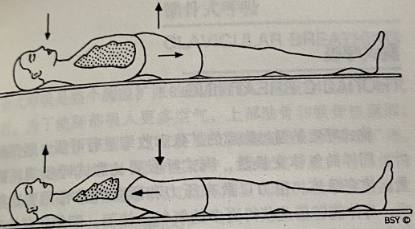 腹式（或横膈膜）呼吸（Abdominal or Diaphragmatic Breathing)