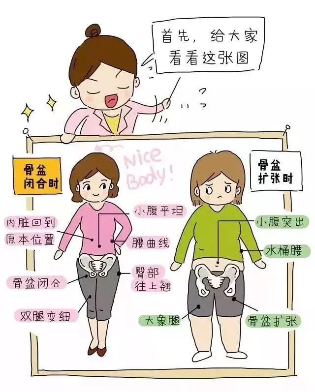产后骨盆修复、盆底肌康复、腹直肌分离康复——图解 + 详解都在这里 瑜伽 盆底肌 产后修复 盆底肌康复 产后骨盆修复 腹直肌分离康复 第 1 张 产后骨盆修复、盆底肌康复、腹直肌分离康复——图解 + 详解都在这里 瑜伽 盆底肌 产后修复 盆底肌康复 产后骨盆修复 腹直肌分离康复 第 1 张