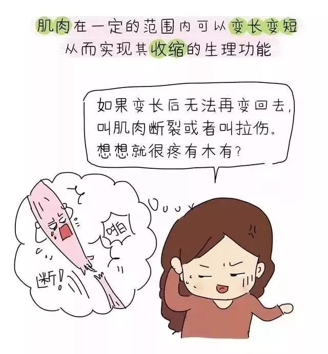 产后骨盆修复、盆底肌康复、腹直肌分离康复——图解 + 详解都在这里 瑜伽 盆底肌 产后修复 盆底肌康复 产后骨盆修复 腹直肌分离康复 第 7 张 产后骨盆修复、盆底肌康复、腹直肌分离康复——图解 + 详解都在这里 瑜伽 盆底肌 产后修复 盆底肌康复 产后骨盆修复 腹直肌分离康复 第 7 张