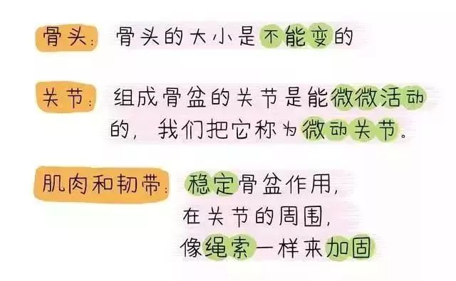 产后骨盆修复、盆底肌康复、腹直肌分离康复——图解 + 详解都在这里 瑜伽 盆底肌 产后修复 盆底肌康复 产后骨盆修复 腹直肌分离康复 第 5 张 产后骨盆修复、盆底肌康复、腹直肌分离康复——图解 + 详解都在这里 瑜伽 盆底肌 产后修复 盆底肌康复 产后骨盆修复 腹直肌分离康复 第 5 张