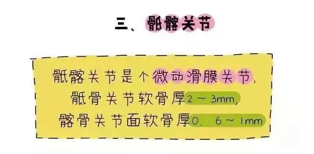 产后骨盆修复、盆底肌康复、腹直肌分离康复——图解 + 详解都在这里 瑜伽 盆底肌 产后修复 盆底肌康复 产后骨盆修复 腹直肌分离康复 第 15 张 产后骨盆修复、盆底肌康复、腹直肌分离康复——图解 + 详解都在这里 瑜伽 盆底肌 产后修复 盆底肌康复 产后骨盆修复 腹直肌分离康复 第 15 张