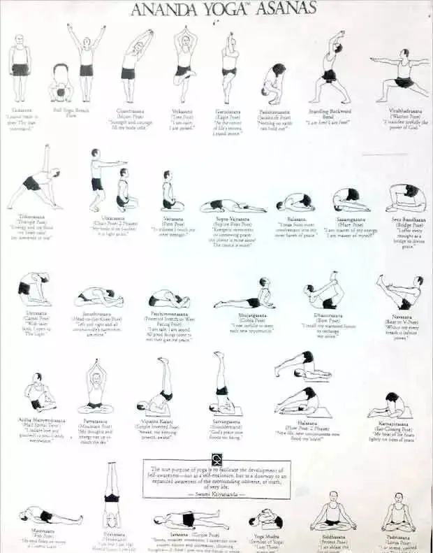 史上最全|13个经典瑜伽流派体式序列图及简介,赶紧收藏！（瑜伽各类体式分类汇总）