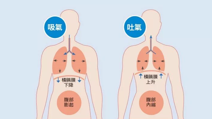 练瑜伽时老是学不会呼吸怎么办？（练瑜伽时老是学不会呼吸怎么办呢）