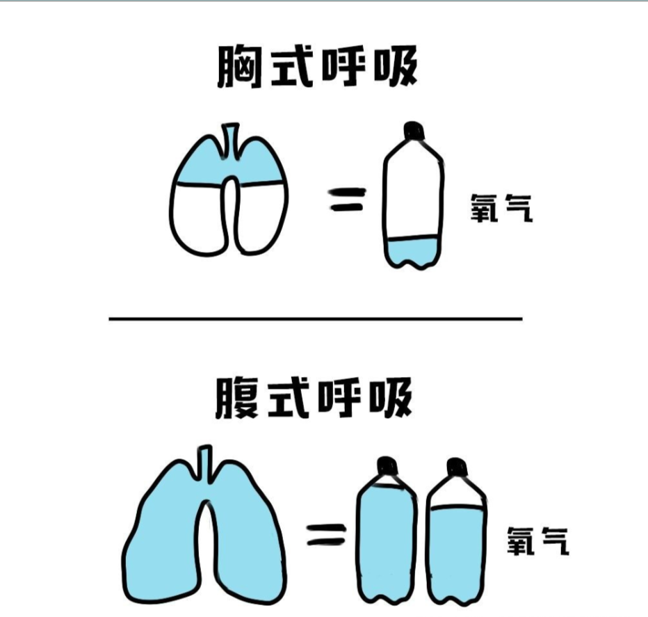 练习瑜伽一直没效果, 是不是之前很多地方练错了?  呼吸 方式 过程 腹部 瑜伽 胸式呼吸 身体 第 3 张