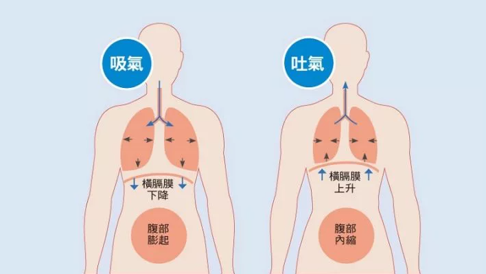 西安瑜伽培训分享瑜伽呼吸技巧的方法和原理（瑜伽初学者呼吸方式）