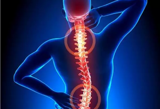 腰椎间盘突出可以报理疗瑜伽培训班么? 腰椎间盘 腰部 症状 瑜伽 肌肉 椎间盘 腰椎 第 1 张 腰椎间盘突出可以报理疗瑜伽培训班么? 腰椎间盘 腰部 症状 瑜伽 肌肉 椎间盘 腰椎 第 1 张