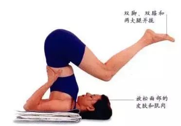 倒立无限好,就是做不了,不妨先试试瑜伽犁式吧! 犁式 瑜伽体式 脊柱 腹部 体式 瑜伽体位法 第 12 张 倒立无限好,就是做不了,不妨先试试瑜伽犁式吧! 犁式 瑜伽体式 脊柱 腹部 体式 瑜伽体位法 第 12 张