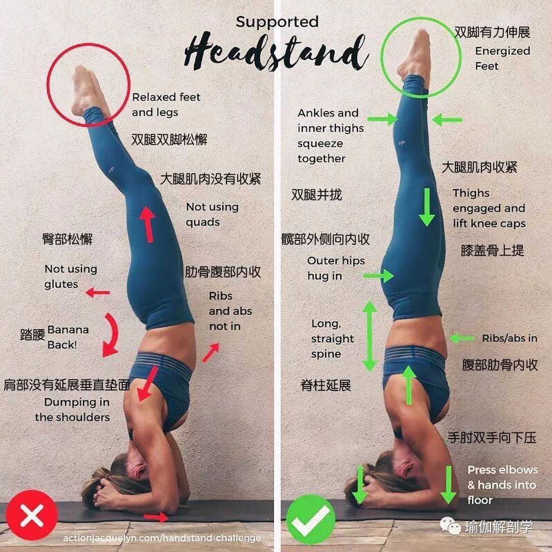 练瑜伽,为什么建议你多做简单体式? 体式 瑜伽 身体 动作 脊柱 髋部 手臂 第 7 张 练瑜伽,为什么建议你多做简单体式? 体式 瑜伽 身体 动作 脊柱 髋部 手臂 第 7 张