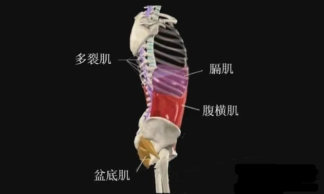 瑜伽培训课上“控制核心”的口令是什么意思？（瑜伽课开始口令）