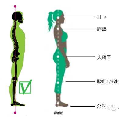 瑜伽培训. 瑜伽私教课的体态和体态自我评估, 健康美丽的头等大事 | 干货 体态 膝盖 问题 姿势 脊柱 身体 曲度 第 5 张 瑜伽培训. 瑜伽私教课的体态和体态自我评估, 健康美丽的头等大事 | 干货 体态 膝盖 问题 姿势 脊柱 身体 曲度 第 5 张