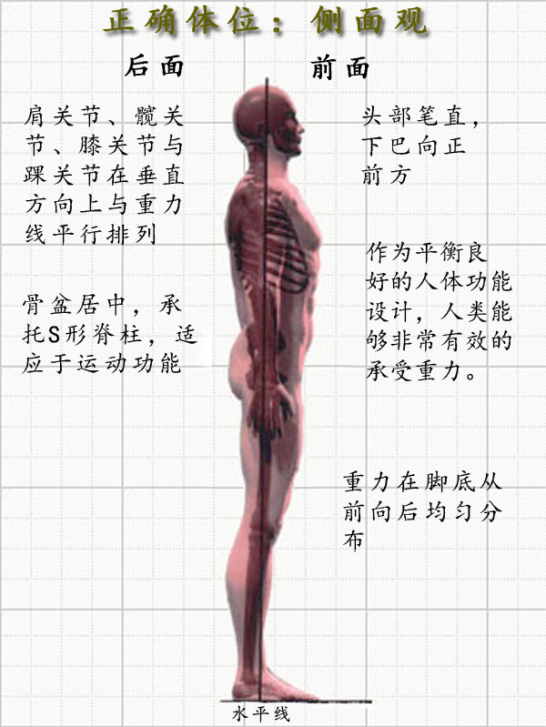 瑜伽培训. 瑜伽私教课的体态和体态自我评估, 健康美丽的头等大事 | 干货 体态 膝盖 问题 姿势 脊柱 身体 曲度 第 17 张 瑜伽培训. 瑜伽私教课的体态和体态自我评估, 健康美丽的头等大事 | 干货 体态 膝盖 问题 姿势 脊柱 身体 曲度 第 17 张