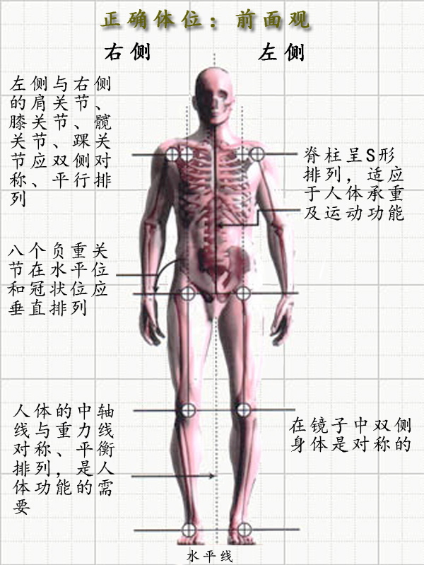 瑜伽培训. 瑜伽私教课的体态和体态自我评估, 健康美丽的头等大事 | 干货 体态 膝盖 问题 姿势 脊柱 身体 曲度 第 16 张 瑜伽培训. 瑜伽私教课的体态和体态自我评估, 健康美丽的头等大事 | 干货 体态 膝盖 问题 姿势 脊柱 身体 曲度 第 16 张