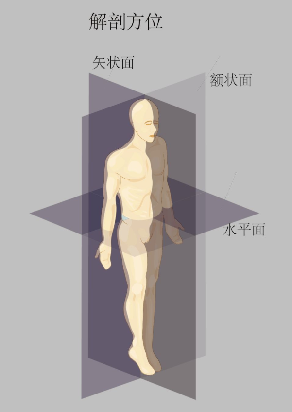 瑜伽培训. 瑜伽私教课的体态和体态自我评估, 健康美丽的头等大事 | 干货 体态 膝盖 问题 姿势 脊柱 身体 曲度 第 25 张 瑜伽培训. 瑜伽私教课的体态和体态自我评估, 健康美丽的头等大事 | 干货 体态 膝盖 问题 姿势 脊柱 身体 曲度 第 25 张