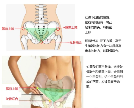 瑜伽培训. 瑜伽私教课的体态和体态自我评估, 健康美丽的头等大事 | 干货 体态 膝盖 问题 姿势 脊柱 身体 曲度 第 31 张 瑜伽培训. 瑜伽私教课的体态和体态自我评估, 健康美丽的头等大事 | 干货 体态 膝盖 问题 姿势 脊柱 身体 曲度 第 31 张