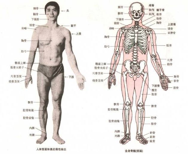 瑜伽培训. 瑜伽私教课的体态和体态自我评估, 健康美丽的头等大事 | 干货 体态 膝盖 问题 姿势 脊柱 身体 曲度 第 40 张 瑜伽培训. 瑜伽私教课的体态和体态自我评估, 健康美丽的头等大事 | 干货 体态 膝盖 问题 姿势 脊柱 身体 曲度 第 40 张